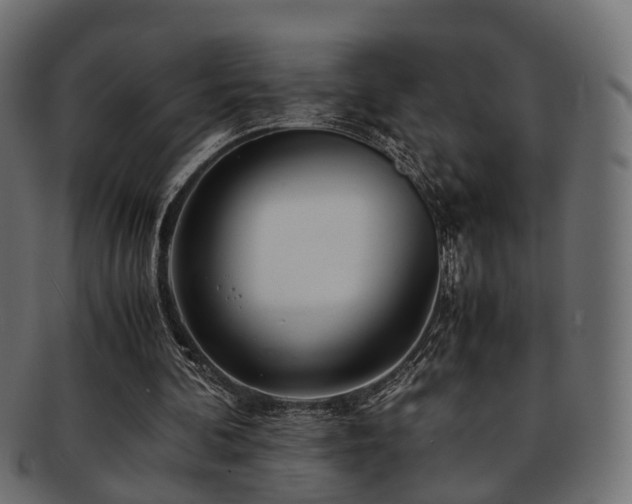 X0000093230292200709261657