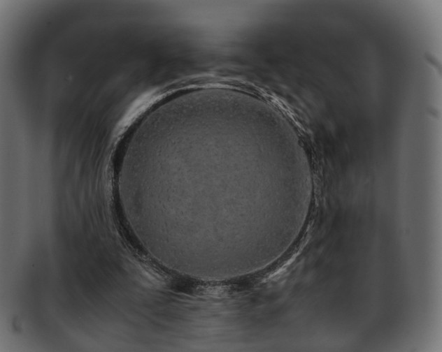 X0000093230295200709261657