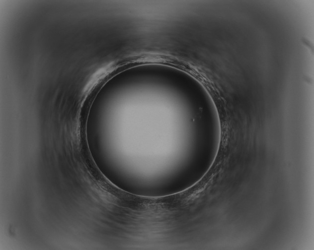 X0000093230296200709261657