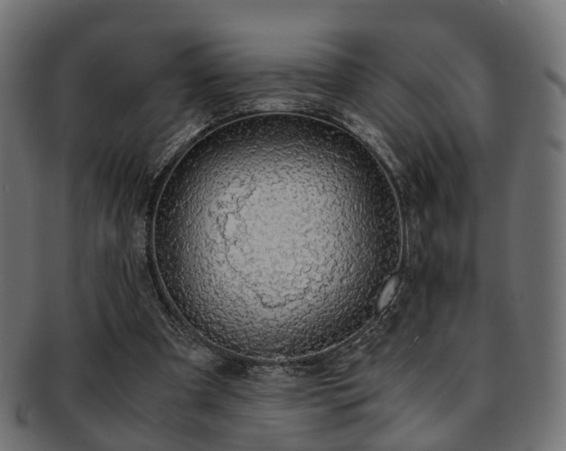 X0000093230297200709261657