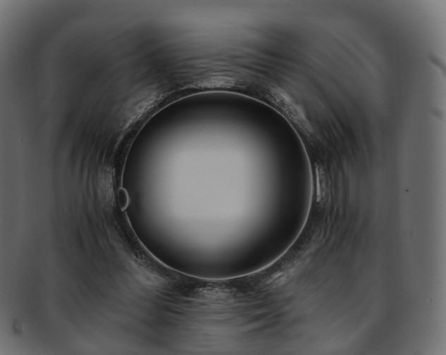X0000093230300200709261657