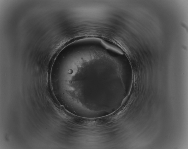 X0000093230301200709261657