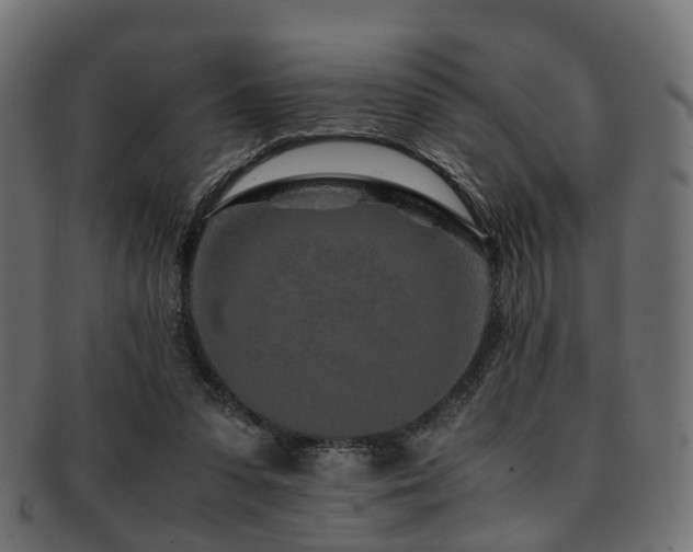 X0000093230303200709261657