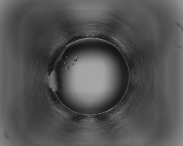 X0000093230307200709261657