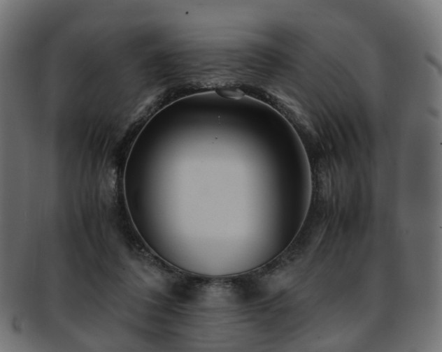 X0000093230308200709261657
