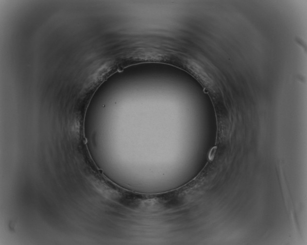 X0000093230309200709261657