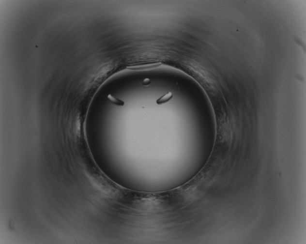 X0000093230310200709261657