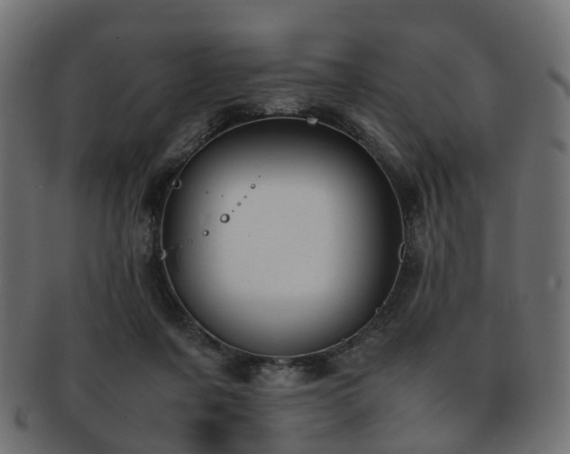 X0000093230311200709261657