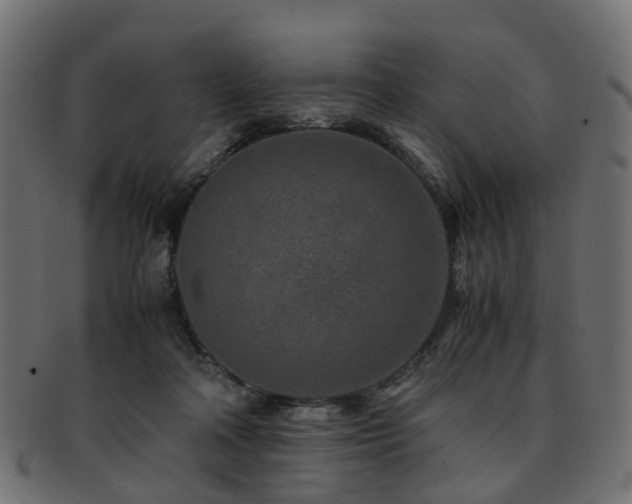 X0000093230314200709261657
