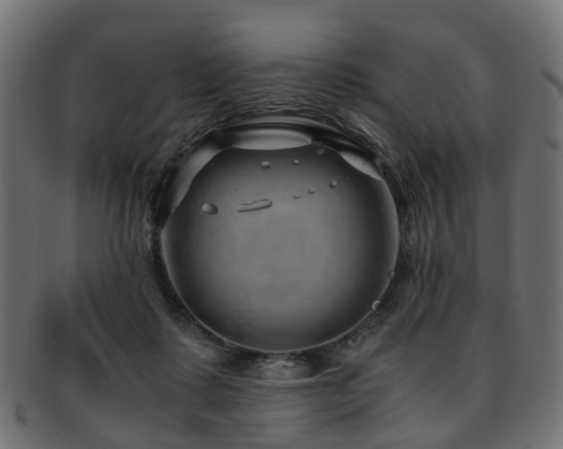 X0000093230315200709261657