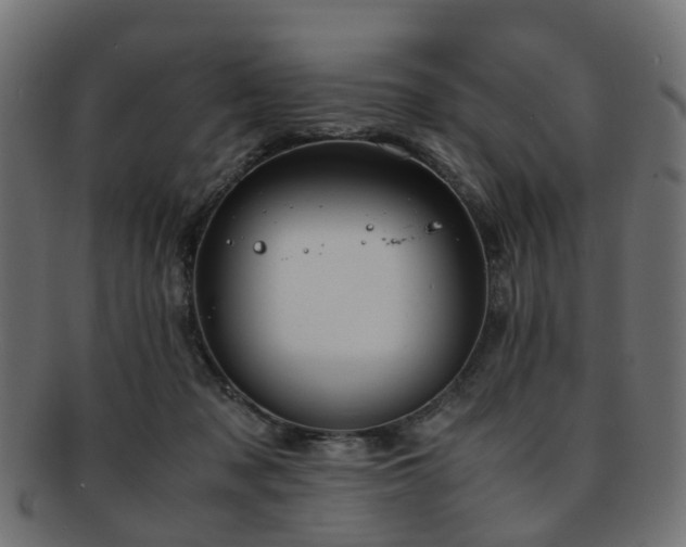 X0000093230317200709261657