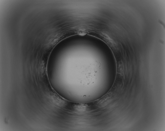 X0000093230318200709261657