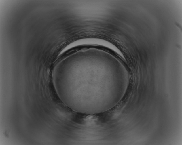 X0000093230319200709261657