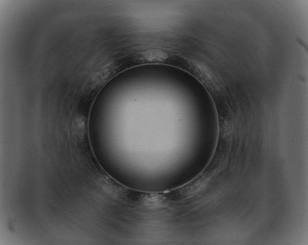 X0000093230321200709261657
