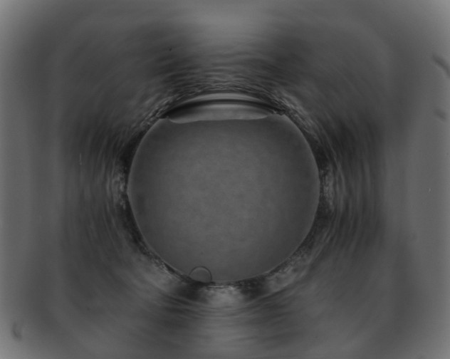 X0000093230322200709261657