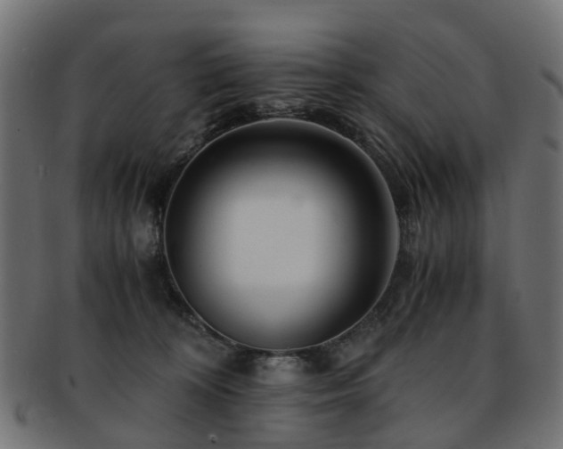 X0000093230324200709261657