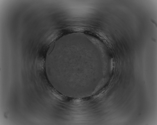 X0000093230325200709261657