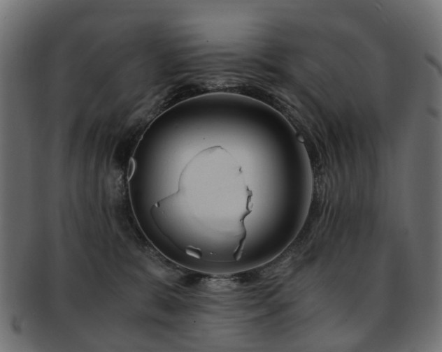 X0000093230327200709261657