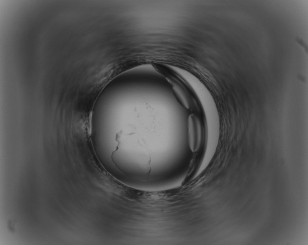 X0000093230329200709261657