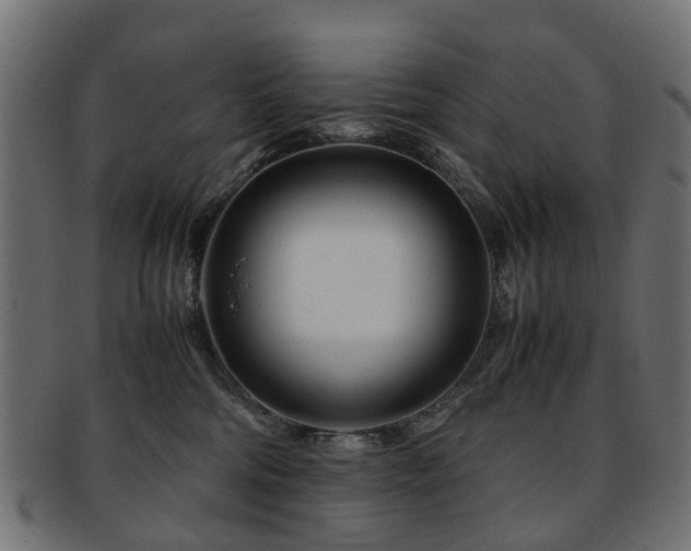 X0000093230330200709261657