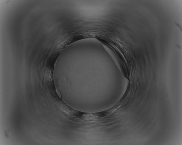 X0000093230331200709261657