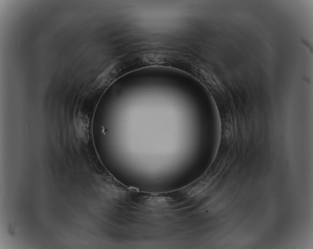 X0000093230332200709261657