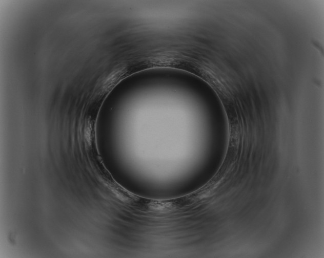 X0000093230334200709261657