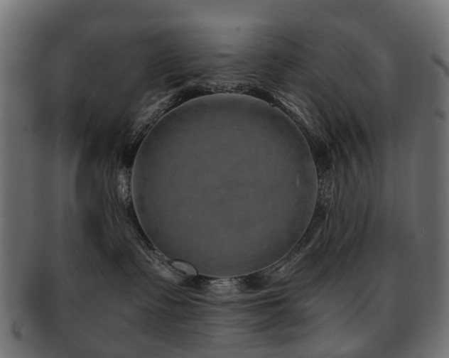 X0000093230335200709261657