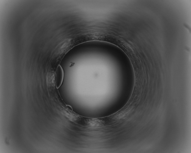 X0000093230336200709261657