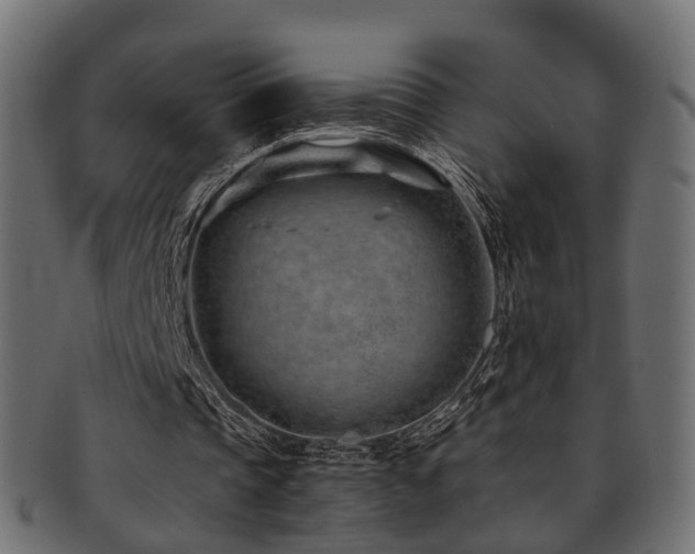 X0000093230337200709261656