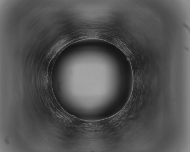 X0000093230338200709261656