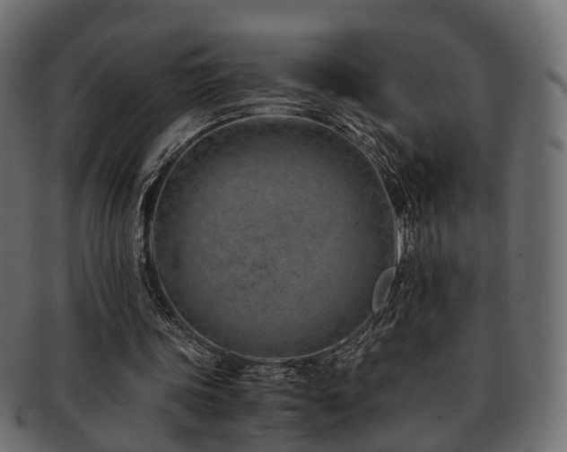 X0000093230339200709261656