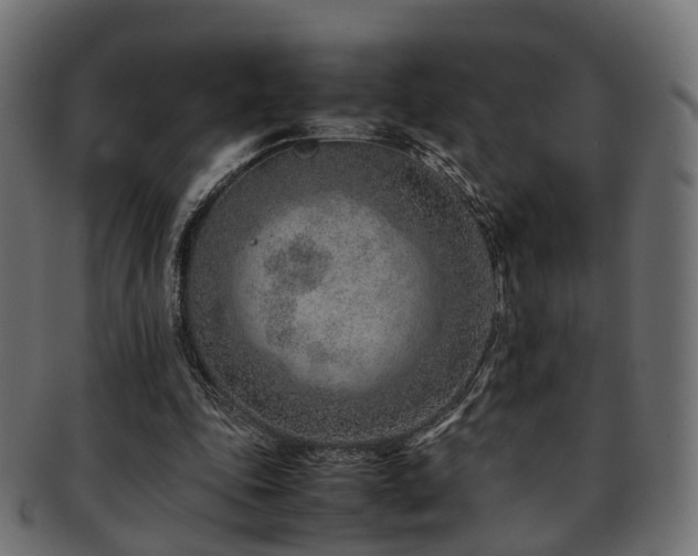 X0000093230343200709261656