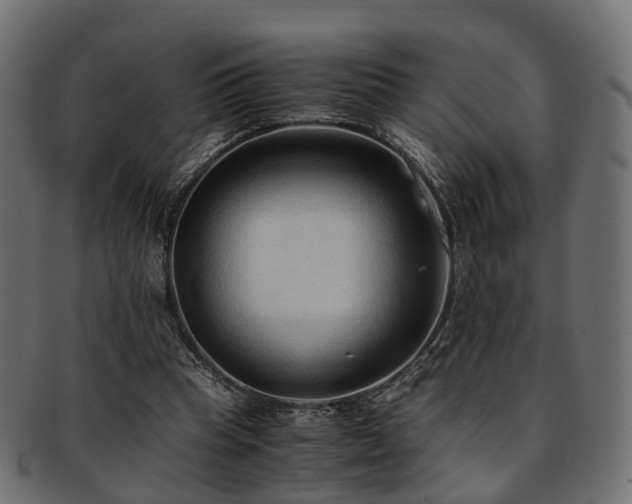 X0000093230345200709261656