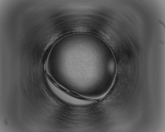 X0000093230347200709261656