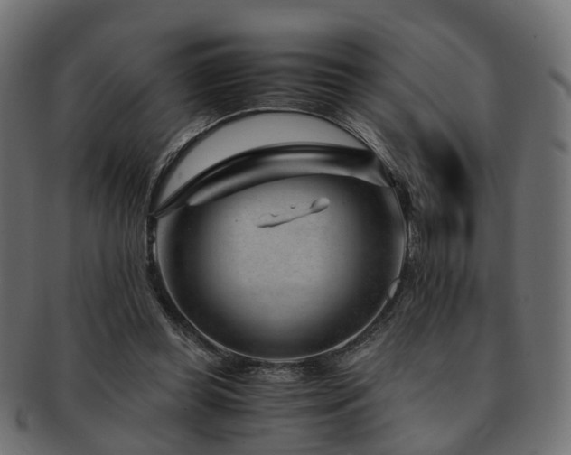 X0000093230349200709261656