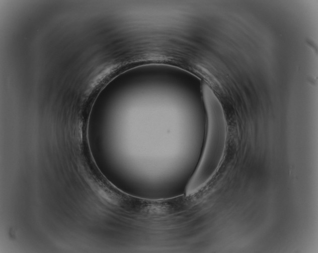 X0000093230350200709261656