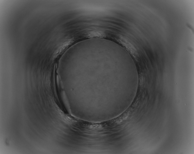X0000093230353200709261656
