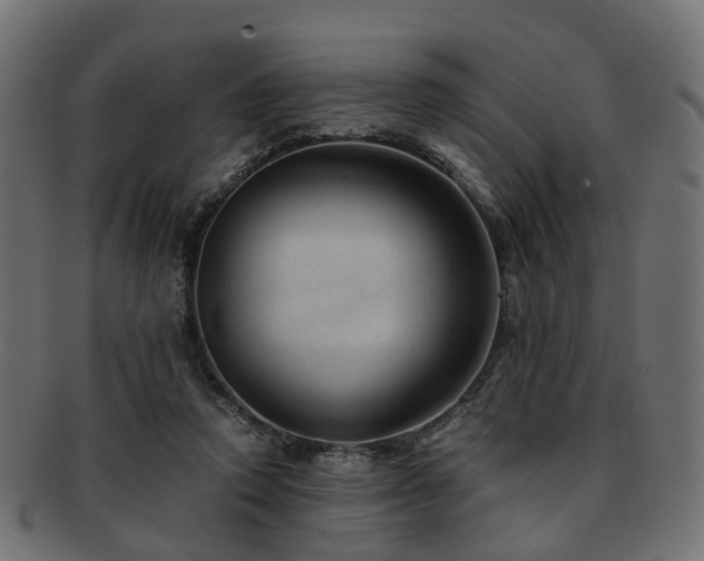 X0000093230354200709261656