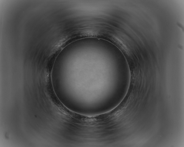 X0000093230355200709261656