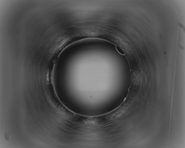 X0000093230358200709261656