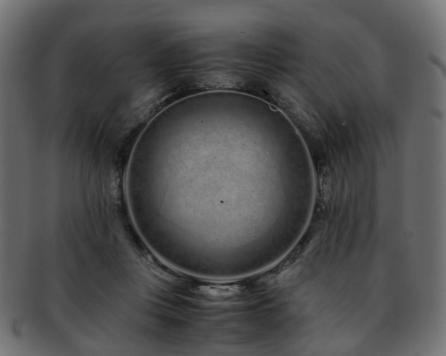 X0000093230359200709261656