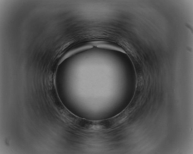 X0000093230360200709261657