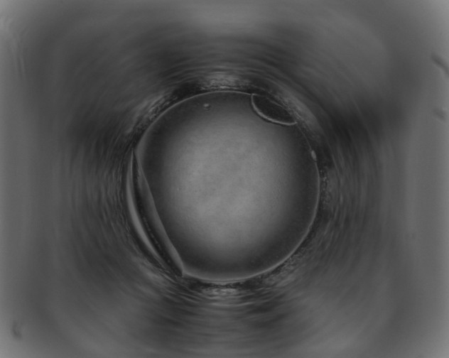 X0000093230361200709261657