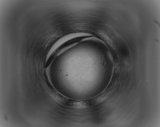 X0000093230365200709261657