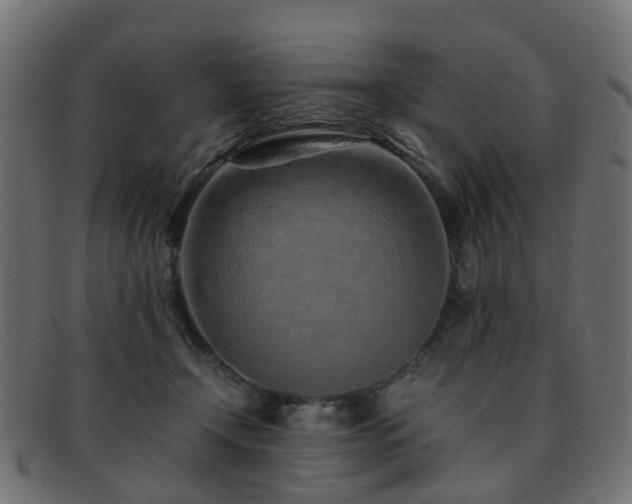 X0000093230366200709261657