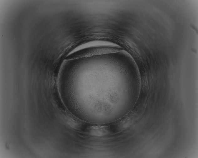 X0000093230367200709261657