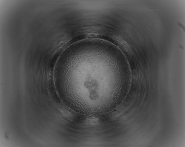 X0000093230369200709261657