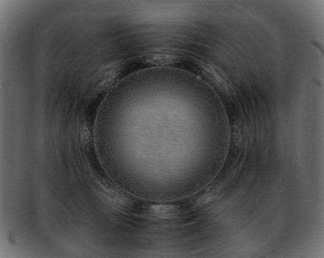 X0000093230371200709261657