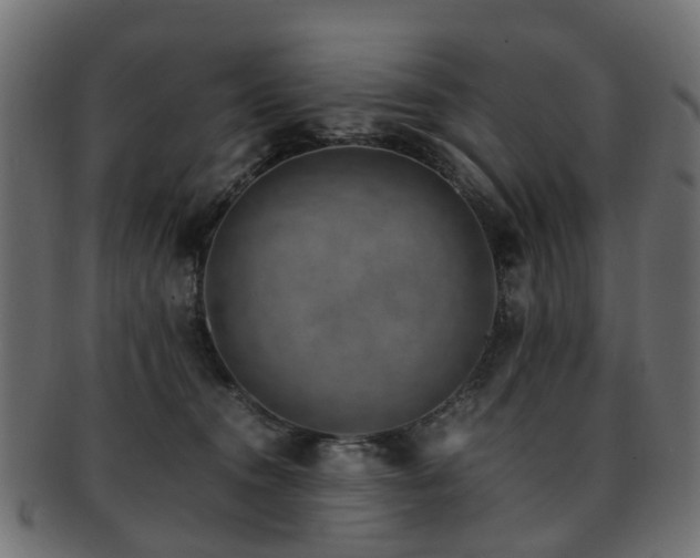 X0000093230372200709261657